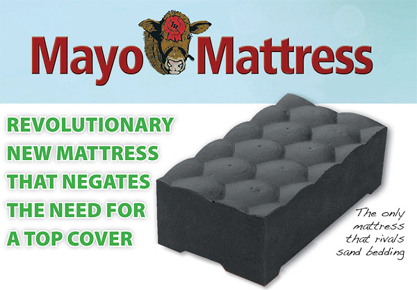 Mayo Mattresses installed worldwide